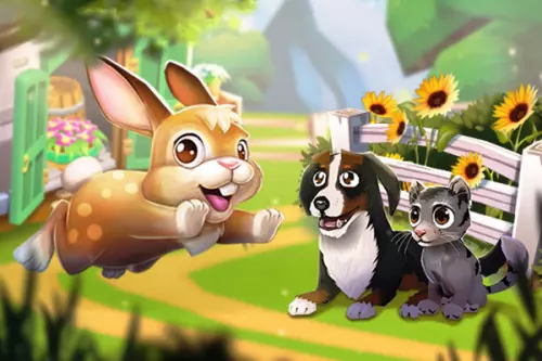 Hund, Katze und springender Hase