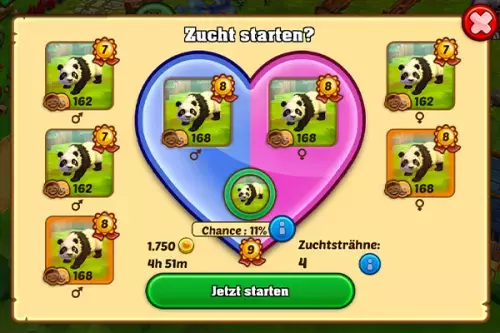 Posibilidades de reproducción de dos pandas