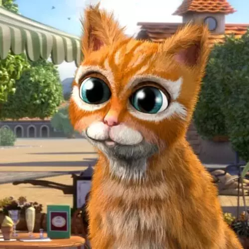Katze Bianca