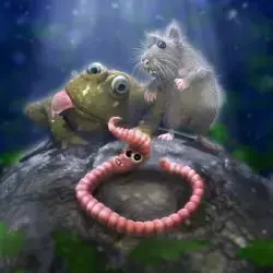 Ratte, Kröte und Regenwurm sitzen auf einem Stein